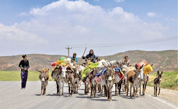 مدیرکل امور عشایری استان از وجود ۲ هزار کیلومتر راه عشایری در ایلام خبر داد مدیرکل امور عشایری استان از وجود ۲ هزار کیلومتر راه عشایری در ایلام خبر داد