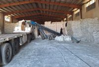 مدیر شرکت خدمات حمایتی کشاورزی ایلام خبر داد: توزیع ۴۵۰۸۱تن انواع کود در استان ایلام