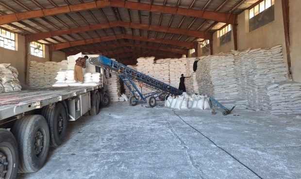 مدیر شرکت خدمات حمایتی کشاورزی ایلام خبر داد: توزیع ۴۵۰۸۱تن انواع کود در استان ایلام