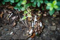 قصه ی پرغصه ی فیلترها…!!!