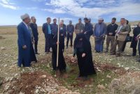مدیرکل منابع طبیعی و آبخیزداری استان ایلام تاکید کرد: استان ایلام توان تولید نهال‌های مرغوب مازاد بر نیاز را دارد