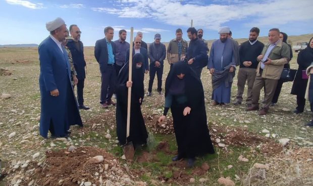 مدیرکل منابع طبیعی و آبخیزداری استان ایلام تاکید کرد: استان ایلام توان تولید نهال‌های مرغوب مازاد بر نیاز را دارد