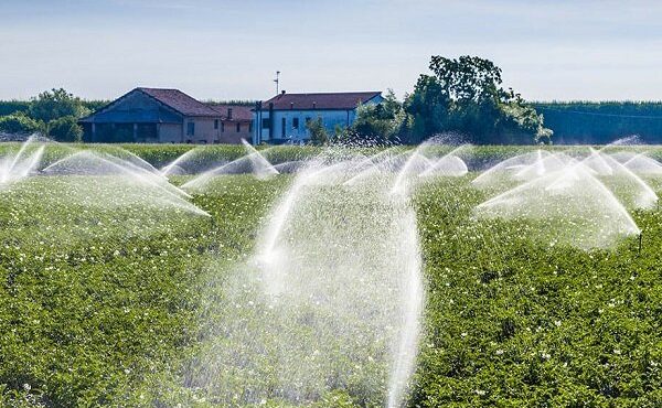 رییس سازمان جهادکشاورزی استان ایلام: ۳۵ هزار هکتار از اراضی دهلران به سیستم آبیاری تحت فشار مجهز است