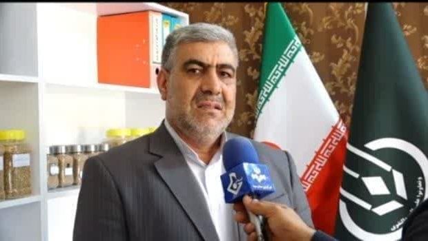 مدیرکل تعاون روستایی ایلام از تحقق ۸۵ درصد از تعهدات کشت قراردادی تعاون روستایی ایلام خبر داد