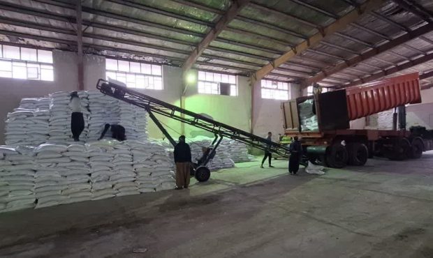 پتروشیمی های رازی و مسجد سلیمان و پردیس تامین کننده کود اوره یارانه ای  استان ایلام هستند