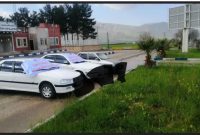 رئیس پلیس راه استان ایلام خبر داد: توقیف ۱۳۷ دستگاه خودرو متخلف و دارای تخلفات حادثه ساز در طرح نوروزی