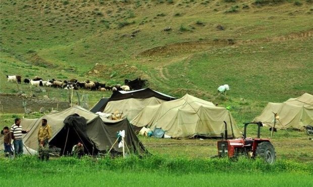 مدیرکل امور عشایر استان از توزیع بیش از ۲ میلیون لیتر نفت سفید در بین عشایر ایلام خبر داد مدیرکل امور عشایر استان از توزیع بیش از ۲ میلیون لیتر نفت سفید در بین عشایر ایلام خبر داد