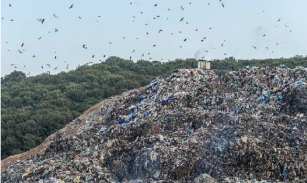 مدیرکل حفاظت محیط زیست استان ایلام: روزانه ۷۷۴ تن زباله در استان ایلام تولید می‌شود