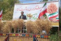 رئیس سازمان جهادکشاورزی استان ایلام خبر داد: سال گذشته ۶ هزار تن کلزا در استان تولید شد که امسال بیشینه میزان برداشت در استان شکسته شد رئیس سازمان جهادکشاورزی استان ایلام خبر داد: سال گذشته ۶ هزار تن کلزا در استان تولید شد که امسال بیشینه میزان برداشت در استان شکسته شد
