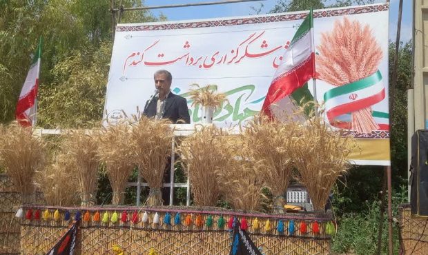 رئیس سازمان جهادکشاورزی استان ایلام خبر داد: سال گذشته ۶ هزار تن کلزا در استان تولید شد که امسال بیشینه میزان برداشت در استان شکسته شد