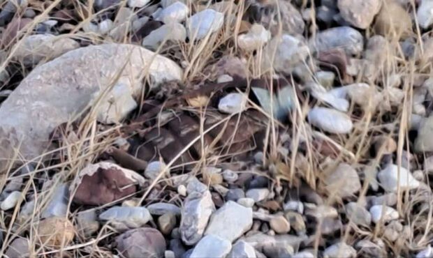 پس از بارش های سیل آسا؛ نمایان شدن نارنجکهای عمل نکرده دوران جنگ تحمیلی در ایلام پس از بارش های سیل آسا؛ نمایان شدن نارنجکهای عمل نکرده دوران جنگ تحمیلی در ایلام