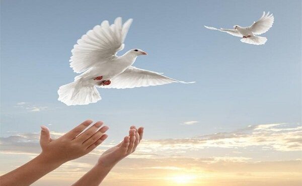 در سالروز رحلت امام خمینی(ره) انجام شد؛ آزادی ۱۲ زندانی نیازمند مالی در ایلام در سالروز رحلت امام خمینی(ره) انجام شد؛ آزادی ۱۲ زندانی نیازمند مالی در ایلام