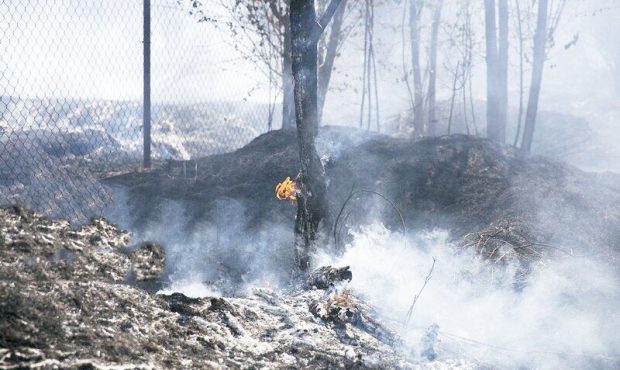 مدیرکل منابع طبیعی و آبخیزداری استان ایلام: یک هزار کیلومتر آتش بُر در اراضی ملی ایلام ایجاد شده است