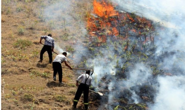 مدیرکل منابع طبیعی و آبخیزداری استان ایلام خبر داد: ۶۸ فقره آتش سوزی در عرصه های طبیعی ایلام ثبت شده است