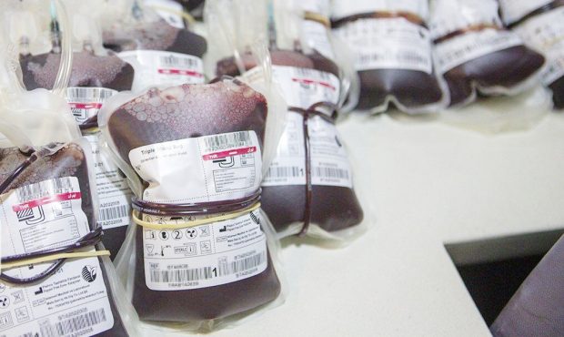 مدیرکل پایگاه انتقال خون ایلام خبر داد: امکان استفاده از بالگرد برای انتقال خون به مهران در اربعین امسال فراهم شد