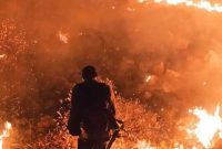 میراث منحوس گرما برای عروس زاگرس