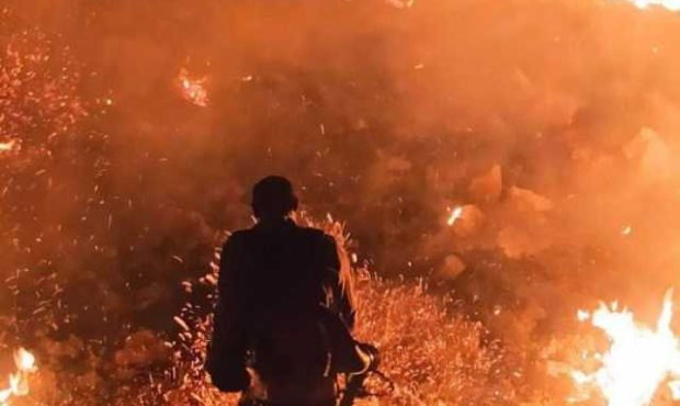 میراث منحوس گرما برای عروس زاگرس