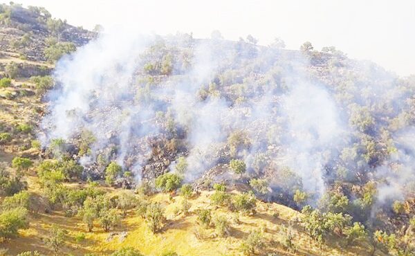 سخنگوی سازمان مدیریت بحران کشور تشریح کرد؛ جزئیات حریق در ارتفاعات استان‌های ایلام و لرستان