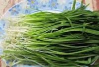 خطر انقراض بیخ گوش گیاهان کوهی ایلام