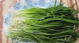 خطر انقراض بیخ گوش گیاهان کوهی ایلام