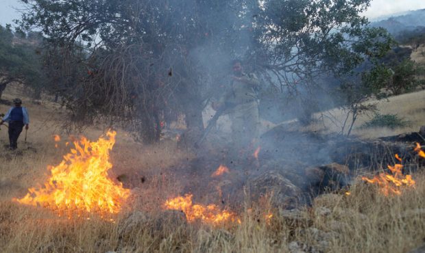 مدیرکل ستاد بحران استانداری ایلام خبر داد: حدود ۱۰۰ مورد آتش سوزی در سطح جنگل‌ها و مراتع ایلام اتفاق افتاده است