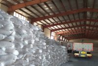 مدیر شرکت خدمات حمایتی کشاورزی ایلام خبر داد: توزیع بیش از ۴ میلیون انواع کودهای کشاورزی در ایلام
