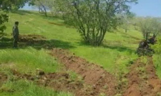 مدیر کل منابع طبیعی و آبخیزداری استان ایلام: تاثیر منفی تغییرات اقلیمی بر منابع طبیعی