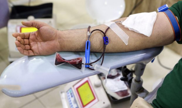 مدیرکل انتقال خون استان ایلام خبر داد: مشارکت بیش از هشت هزار ایلامی برای اهدای خون