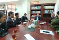 معاون هماهنگی امور عمرانی استاندار ایلام خبر داد: فاز اول درختکاری از مهران تا کوت عراق عملیاتی می‌شود