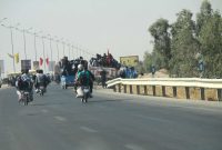 معاون عمرانی استاندار ایلام از درختکاری مسیر مهران تا کوت عراق خبر داد