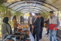 مدیرکل میراث فرهنگی، گردشگری و صنایع دستی استان ایلام خبر داد: برپایی نمایشگاه صنایع دستی در دانشگاه پیام نور ایلام
