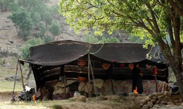 مدیرکل امور عشایر استان ایلام تاکید کرد: سوخت مورد نیاز عشایر مستقر در ایلام تأمین است