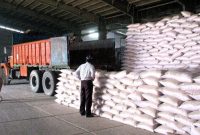 مدیر شرکت خدمات حمایتی کشاورزی ایلام خبر داد: توزیع بیش از ۸ میلیون تن انواع کود شیمیایی در ایلام