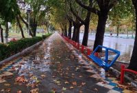 کارشناس هواشناسی استان ایلام خبر داد: سامانه بارشی تا روز دوشنبه در ایلام فعال است