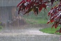 کارشناس پیش‌بینی هواشناسی استان خبر داد: گنجوان پیشتاز بیشترین میزان بارندگی در ایلام