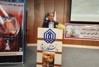 رییس سازمان جهاد کشاورزی استان ایلام: خُرد شدن اراضی کشاورزی ایلام تهدیدی جدی برای کشت مکانیزه است