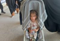 عکس/زائر کربلا؛ پیاده روی اربعین- مرز مهران