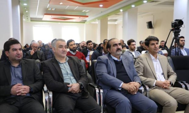 مدیر ستاد اجرایی فرمان امام(ره) استان: ۳۰ درصد از طرح‌های قانون جوانی جمعیت در ایلام اجرایی شده است