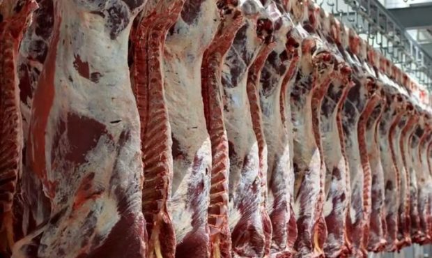 آغاز طرح تشدید نظارت بهداشتی بر مراکز عرضه فرآورده های خام دامی ایلام آغاز طرح تشدید نظارت بهداشتی بر مراکز عرضه فرآورده های خام دامی ایلام