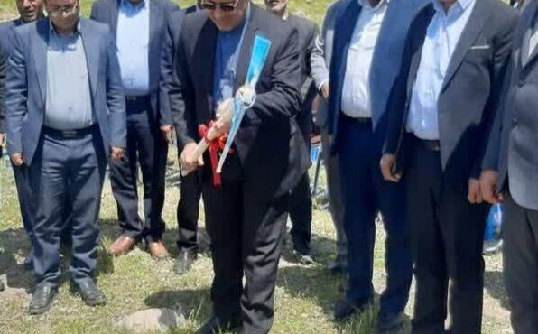 مدیرعامل شرکت توزیع نیروی برق استان ایلام خبر داد: آغاز ساخت ۱۰ نیروگاه خورشیدی در ایلام