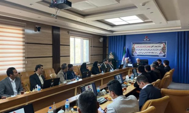 بازدید مدیر عامل شرکت ملی پخش فرآورده‌های نفتی ایران از منطقه ایلام