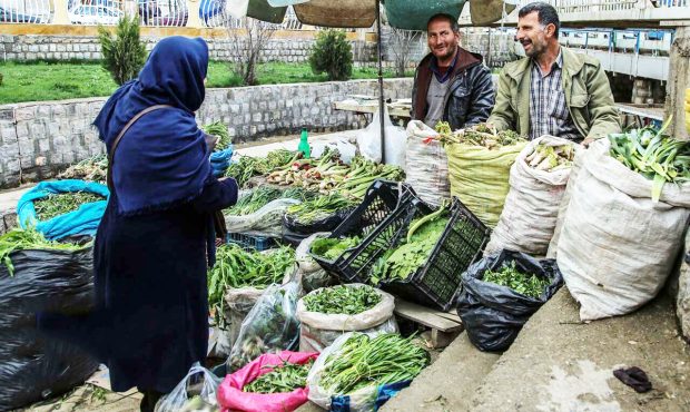 مدیرکل منابعطبیعی و آبخیرداری ایلام خبر داد: تشکیل ۲۲ پرونده تخلف برداشت گیاهان خوراکی در ایلام مدیرکل منابعطبیعی و آبخیرداری ایلام خبر داد: تشکیل ۲۲ پرونده تخلف برداشت گیاهان خوراکی در ایلام