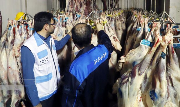 مدیرکل دامپزشکی ایلام خبر داد: ۶ تن فرآورده خام دامی فاسد در ایلام معدوم شد