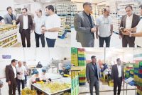 بهره برداری و آغاز به کار دو خط جدید کارخانجات دره شهر با حضور معاون سیاسی و امنیتی استاندار ایلام بهره برداری و آغاز به کار دو خط جدید کارخانجات دره شهر با حضور معاون سیاسی و امنیتی استاندار ایلام