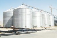 مدیرعامل شرکت غله و خدمات بازرگانی خبر داد: ۴۲ مرکز خرید گندم در ایلام آماده سازی شده است