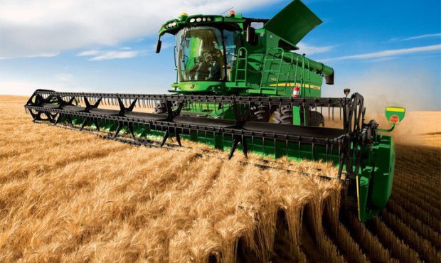 رئیس جهادکشاورزی استان ایلام خبر داد: آغاز برداشت غلات در سطح ۱۱ هزار هکتار از اراضی شهرستان دره‌شهر