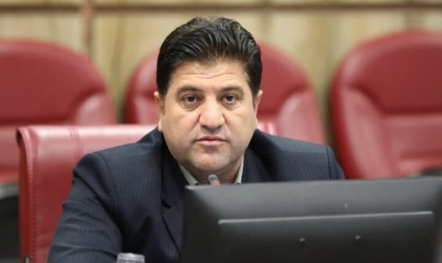 مدیرکل میراث فرهنگی، گردشگری و صنایع دستی: ۱۰ کارگاه حصیربافی در استان ایلام فعالیت دارند