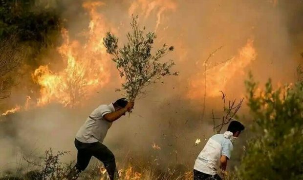 مدیرکل منابع طبیعی استان: احتمال بروز آتش‌سوزی در عرصه های طبیعی ایلام افزایش یافته است