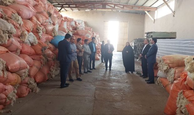 اختصاص ۱۰ میلیارد ریال تسهیلات اشتغال‌زایی ویژه زنان عشایر