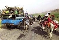 مدیرکل امور عشایری استان خبر داد: مسیرهای ارتباطی ۸ کانون عشایری ایلام بهسازی می شود مدیرکل امور عشایری استان خبر داد: مسیرهای ارتباطی ۸ کانون عشایری ایلام بهسازی می شود